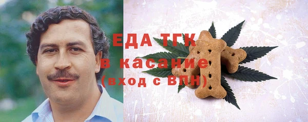 ECSTASY Бородино