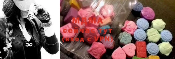 ECSTASY Бородино