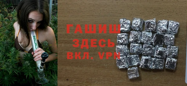 ECSTASY Бородино