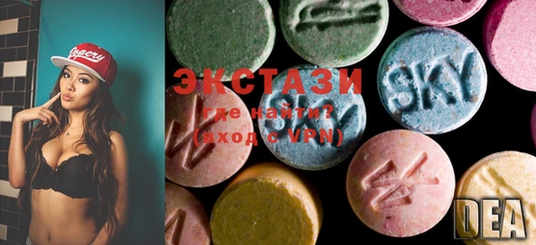 ECSTASY Бородино