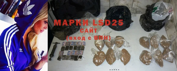 ECSTASY Бородино