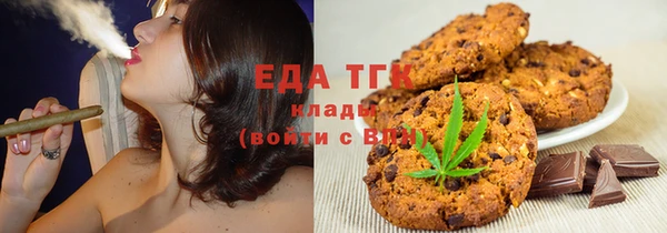 ECSTASY Бородино