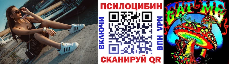 Псилоцибиновые грибы Psilocybine cubensis закладка omg зеркало Ессентукская